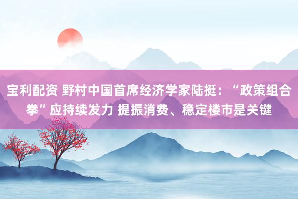 宝利配资 野村中国首席经济学家陆挺：“政策组合拳”应持续发力 提振消费、稳定楼市是关键
