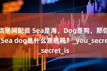 点搭网配资 Sea是海，Dog是狗，那你知道Sea dog是什么意思吗？_you_secret_is