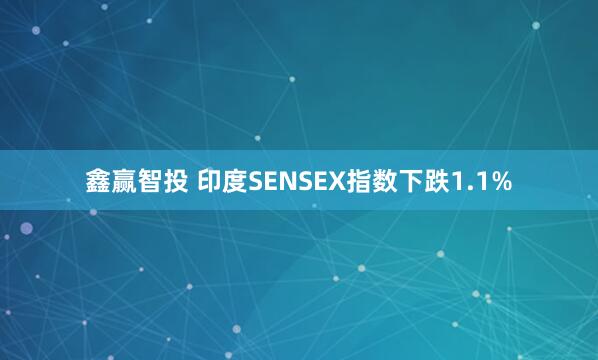 鑫赢智投 印度SENSEX指数下跌1.1%